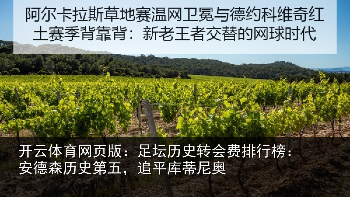 开云体育网页版:足坛相关情况:安德相关情况蒂尼奥